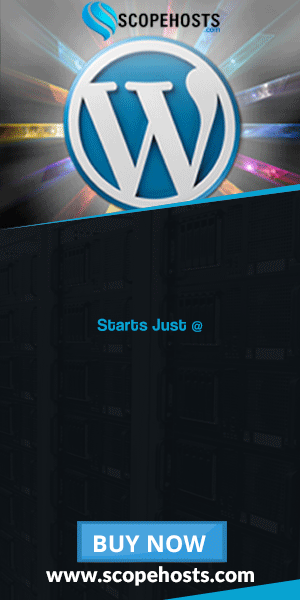 Wordpress Hosting Banner