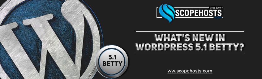 WordPress launched 5.1 Betty version this year 2019