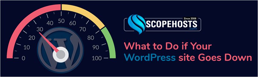 Here mentioned 7 Checks to carry out when your WordPress site is down