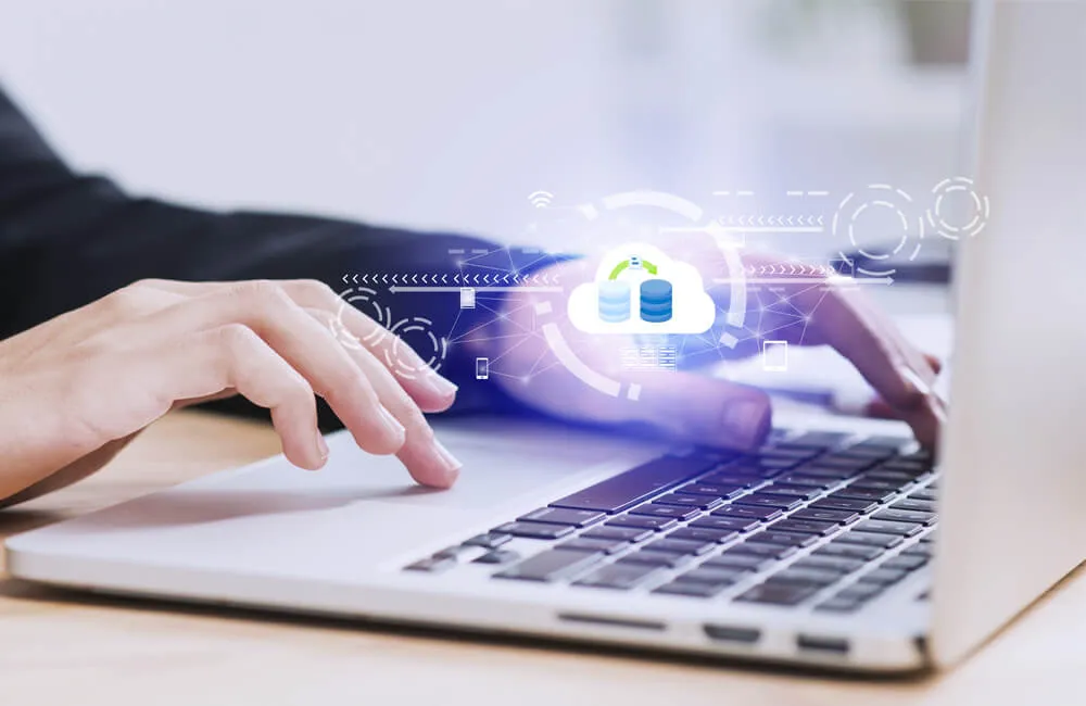 WordPress support plans