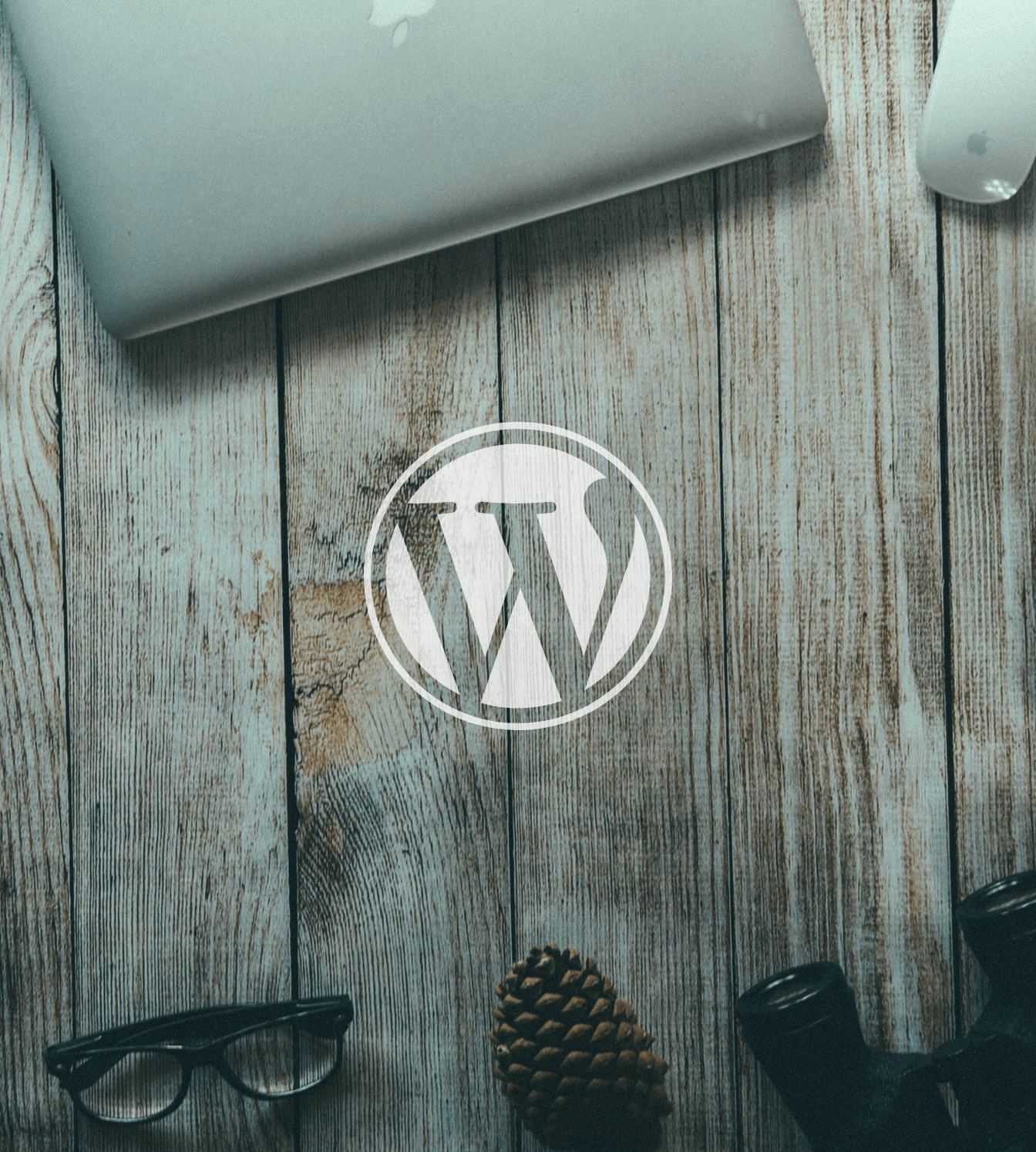 wordpress-hosting