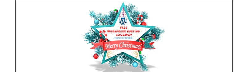 Plan Christmas Giveaway.jpg