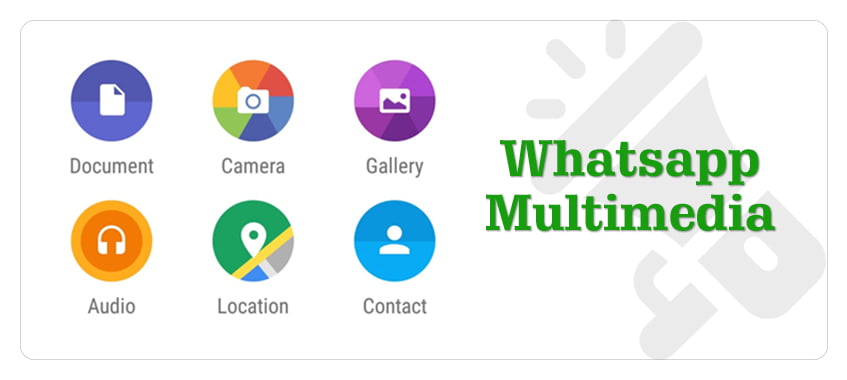 whatsapp_multimedia