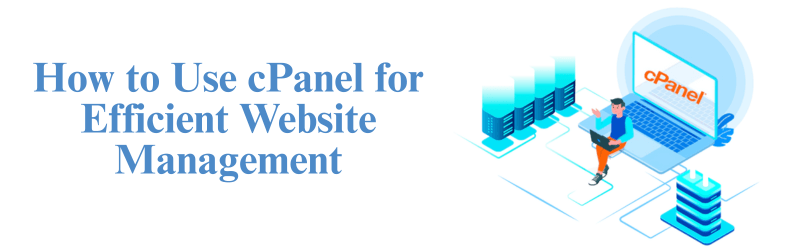 Website Management