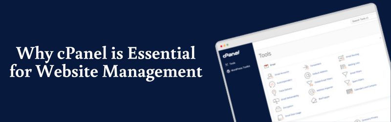 Website Management
