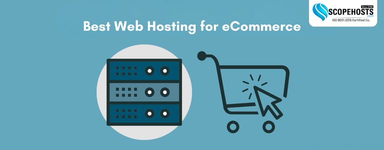 Web Hosting