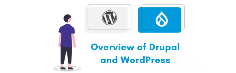 Drupal-and-WordPress