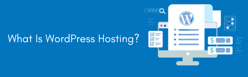 WordPress-Hosting