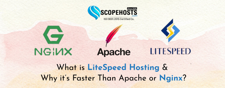 LiteSpeed Hosting