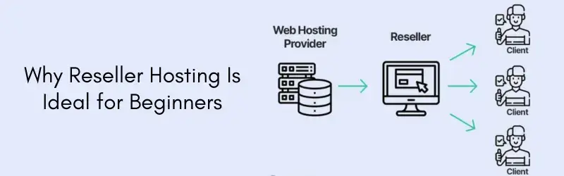 Reseller-Hosting