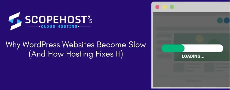 WordPress Websites