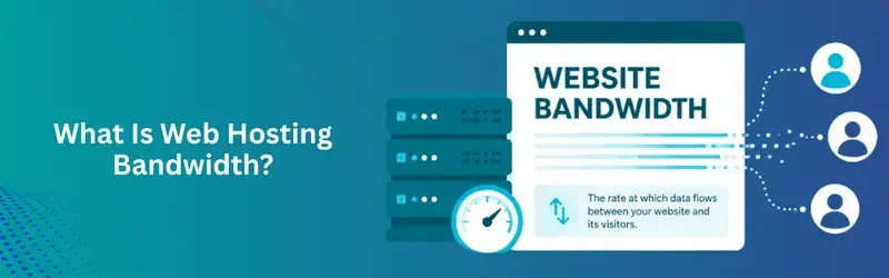 Web Hosting